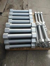 東莞紫牛奇基文化傳播