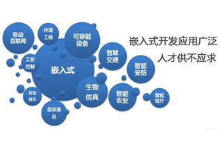 嵌入式系統發展前景廣闊，計算機軟件技術開發者需關注