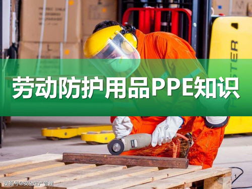 勞動(dòng)防護(hù)用品（PPE）知識(shí)詳解與選用指南